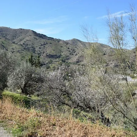 Cerro Gus