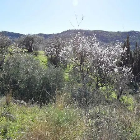 Holiday home Cerro Gus